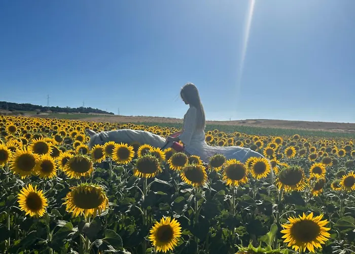 度假居 Casa Naranjos *