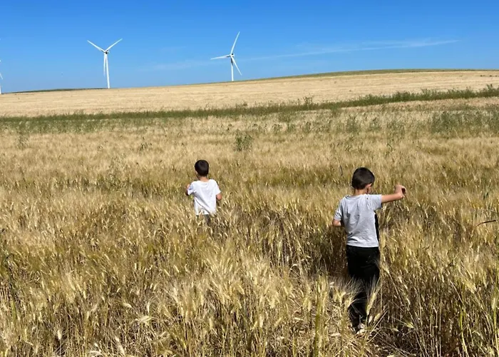 Casa Naranjos * 加的斯